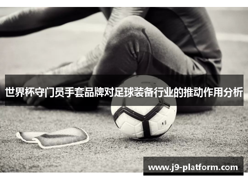 世界杯守门员手套品牌对足球装备行业的推动作用分析
